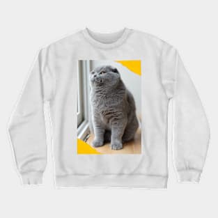 The biue cute cats Crewneck Sweatshirt